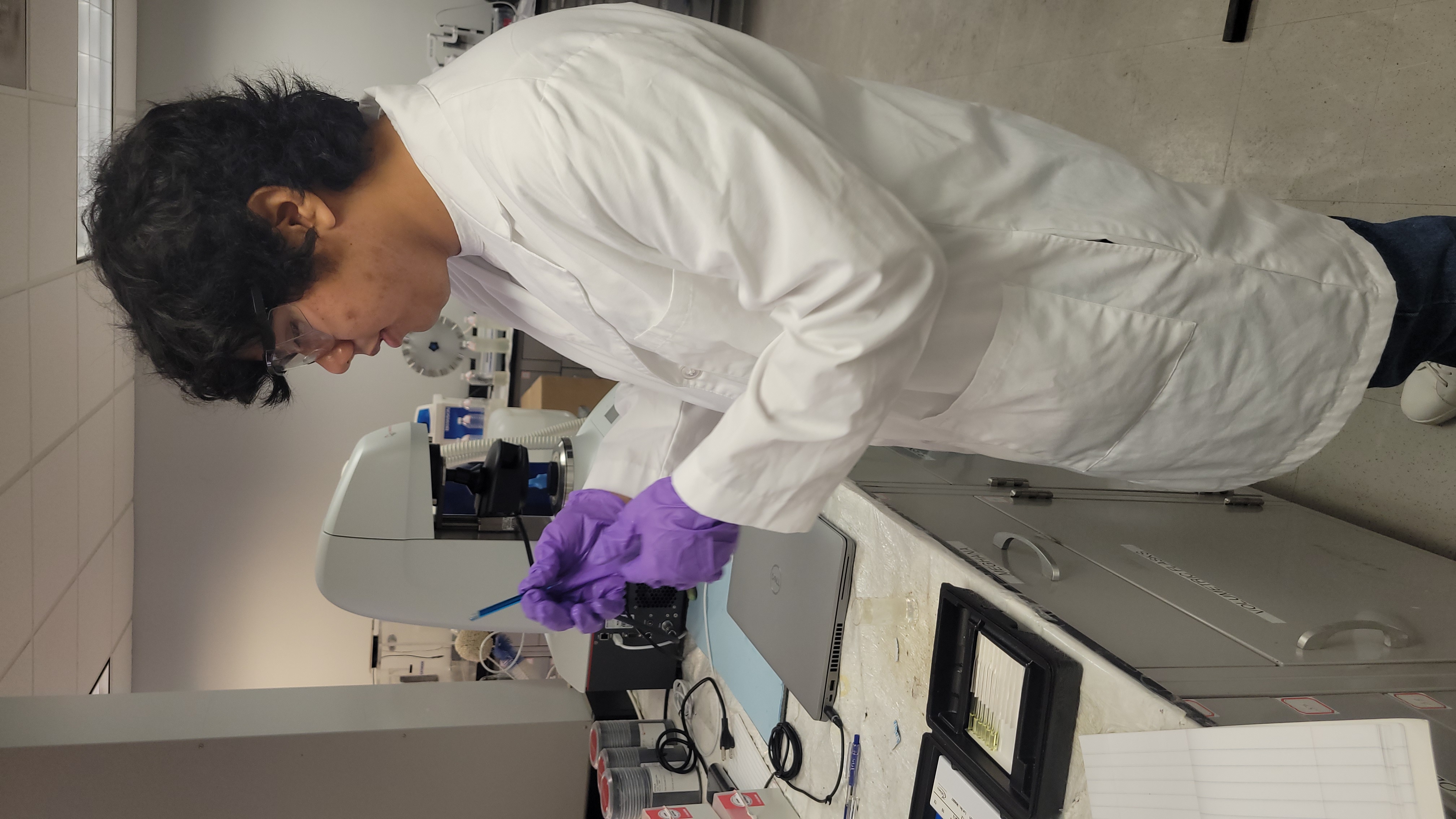 Lab